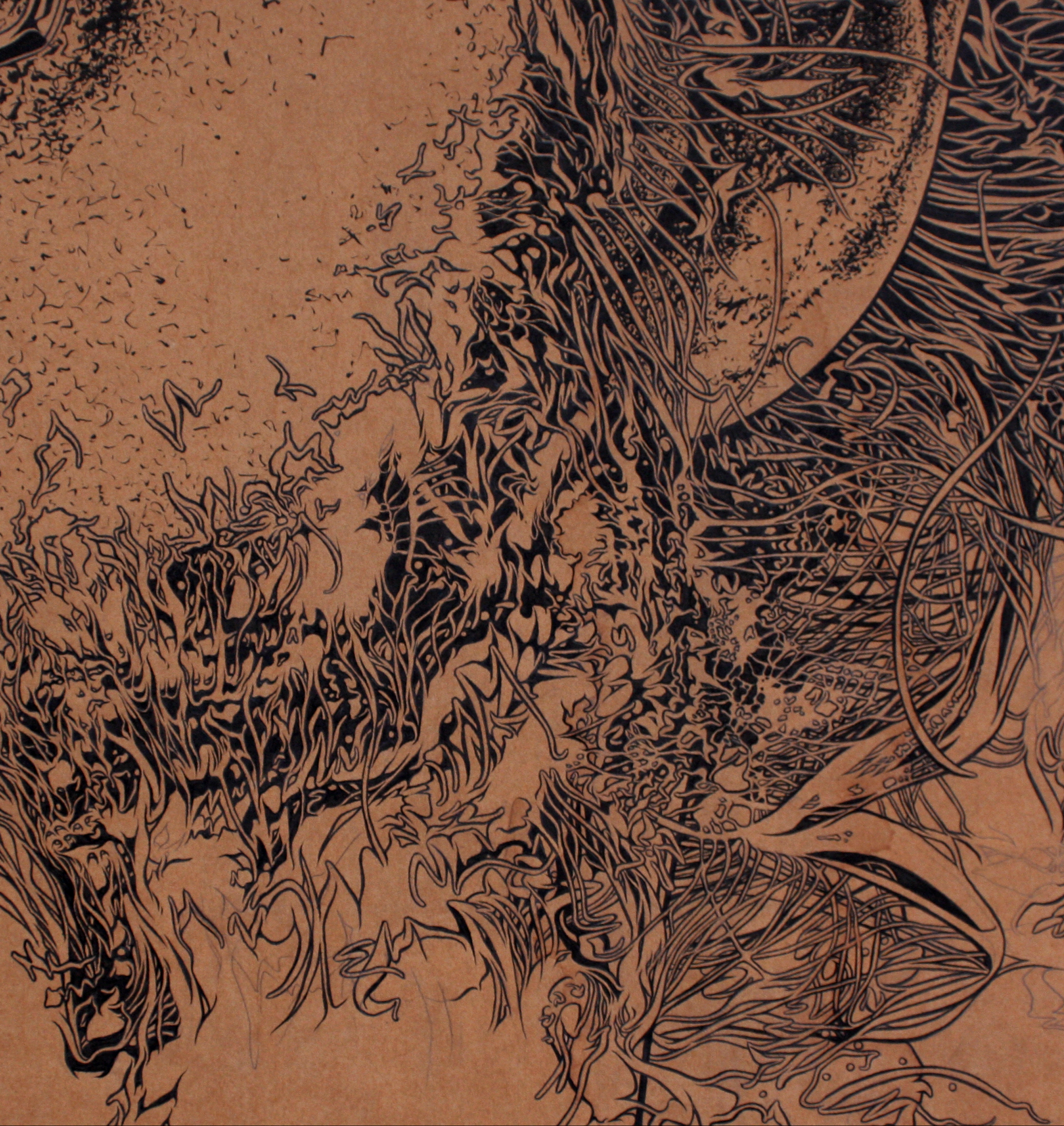 artwork by David Le Fleming, ink on board - thin thick thin technique