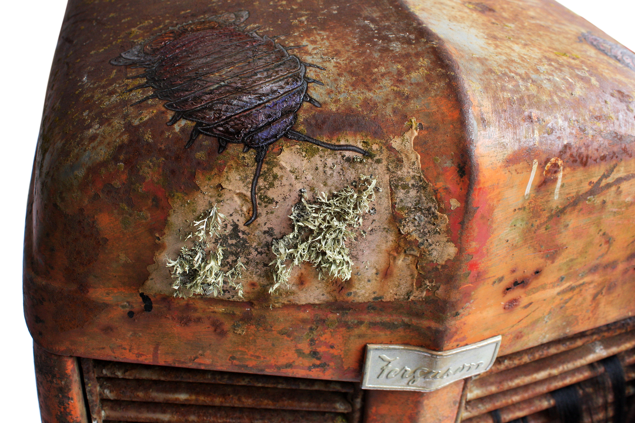 giant isopods crawling over Massey Ferguson tractor bonnet