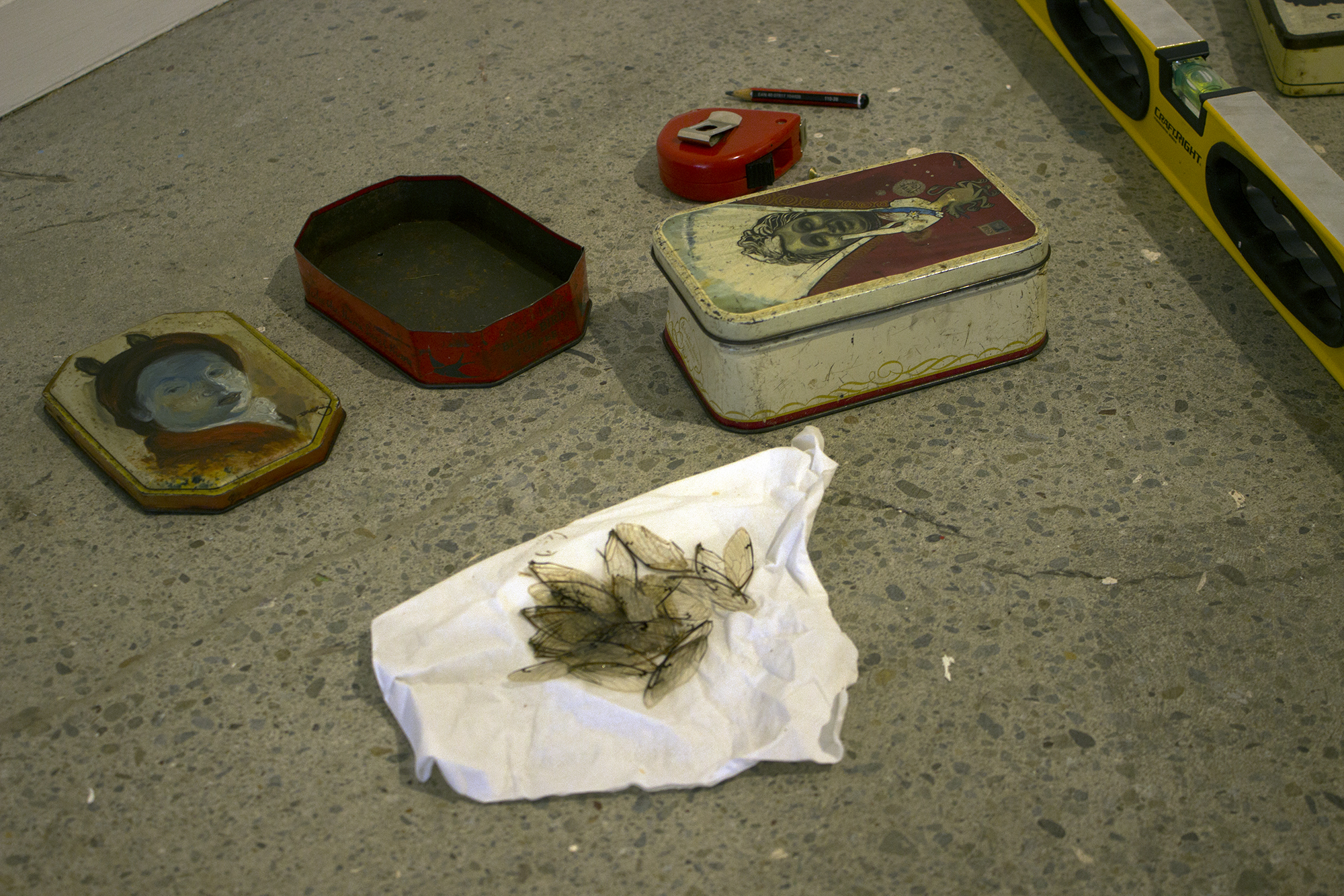 Little Hand – The Inverse Principality - install - cicada wings - mythology